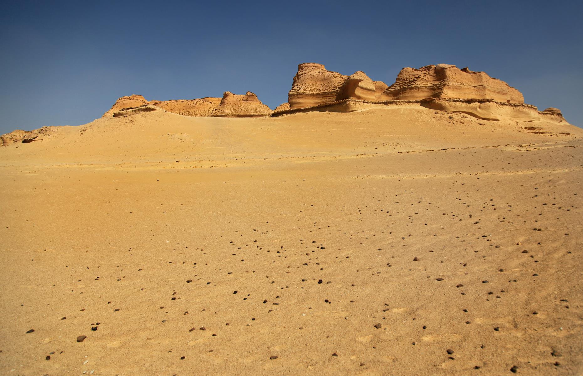 Wadi al-Hitan, Egypt